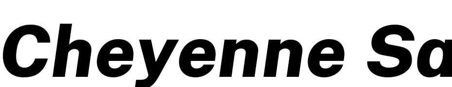 Cheyenne Sans Extra Bold Italic Font Download Free